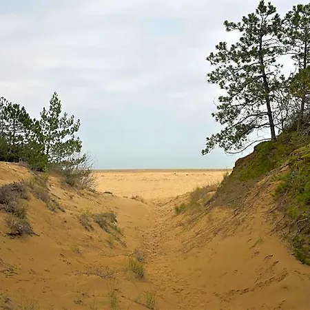 Quiet Retreat Near Sea And Center